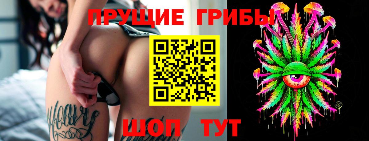 наркотики  Галлюциногенные грибы прущие грибы  Вход с VPN  Елизово  Галлюциногенные грибы ЛСД 
